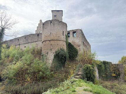 Foto da Norbert Herbig lungo il tour