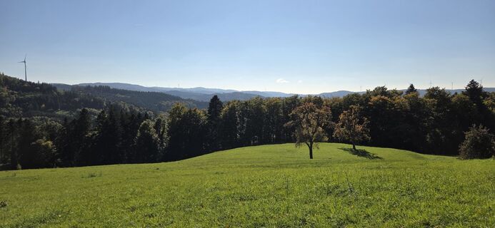 Photo de Dieter Klippel le long du parcours