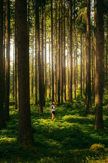 Naturpark Blockheide, Der Weg entlang der Lainsitz