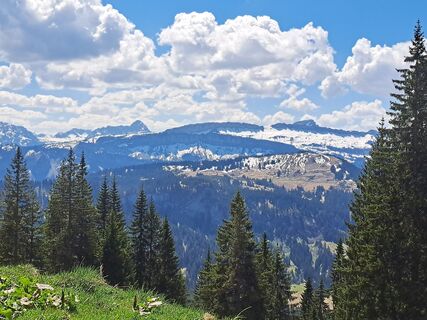Fotografie de la Susi Hampe de-a lungul turului