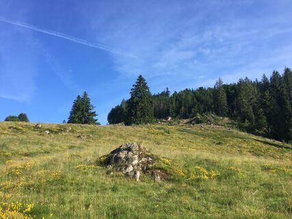 Foto de Ralf Umminger a lo largo del recorrido