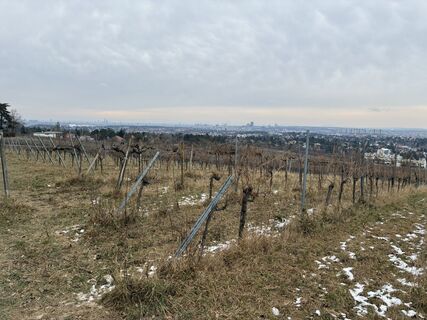 Foto de Martin1967 a lo largo del recorrido