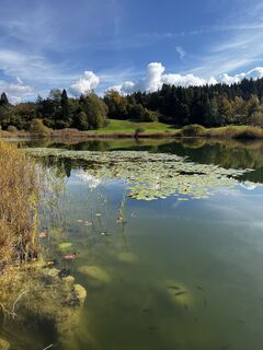 Foto von Manuel Lackner entlang der Tour