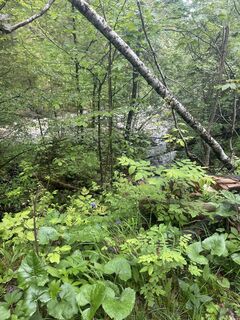 Foto von ralf Humer entlang der Tour