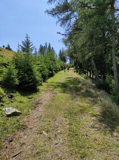 Foto von Wolfgang Kleewein entlang der Tour