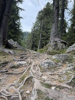 Photo de Christoph Woge le long du parcours