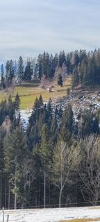 Foto von Teuschl Michael entlang der Tour