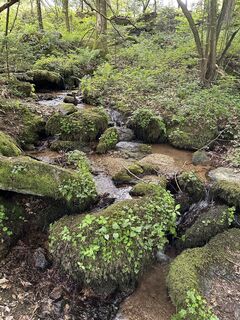 Photo de Babs Holz le long du parcours