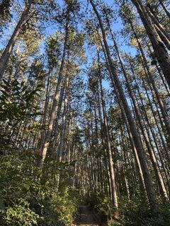 Fotografia z RS76 na trase