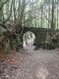 Foto von Laszlo Toth 2 entlang der Tour