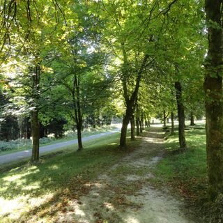 Panoramaring Kurpark  - Frauenwald