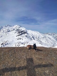 Photo de Delpyalain73 le long du parcours