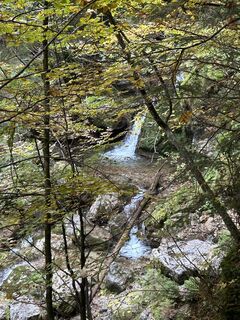 Photo de Stephan Gerstmeier le long du parcours
