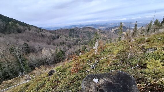 Fotografia z Jordy na trase