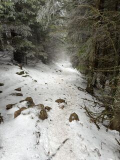 Foto von Elvis entlang der Tour
