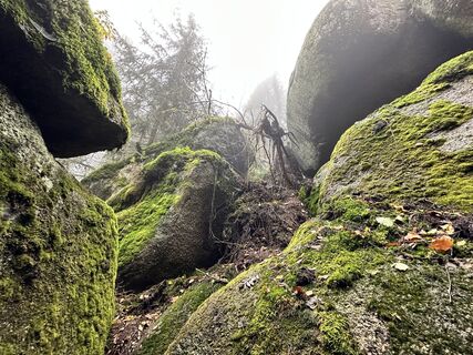 Foto da Norbert Herbig lungo il tour