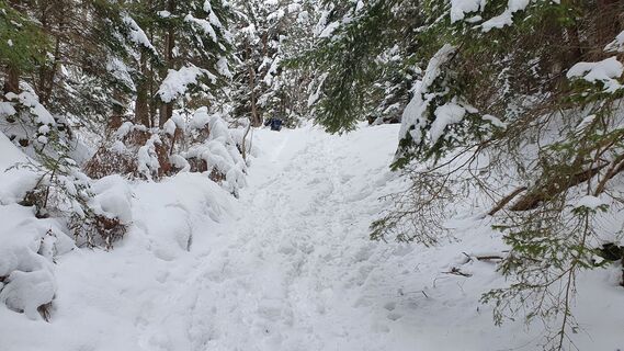 0.9 km Winterpfad