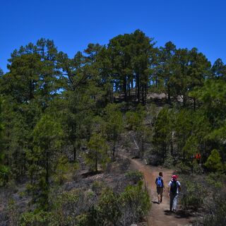 Landschaften des Tamadaba-Naturparks
