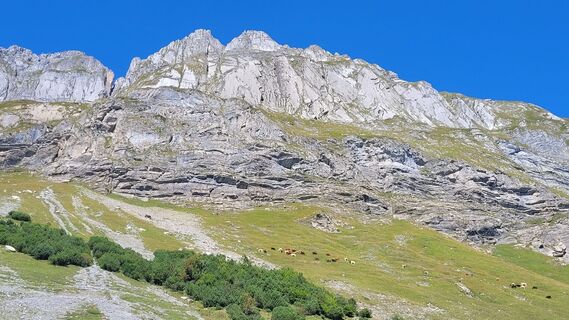Foto von deniuru entlang der Tour
