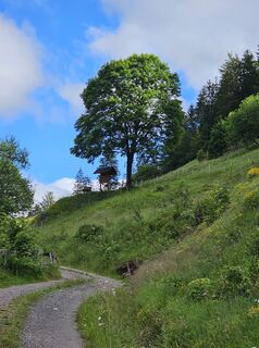 Fotografie z Angelika Gerung na trase