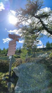 Foto von walrei entlang der Tour