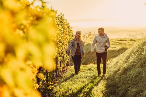 HeilbronnerLand Herbst Bilder 2022 67