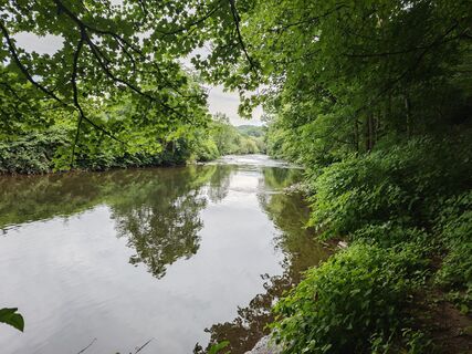 Photo de Björn Heun le long du parcours