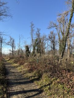 Fotografia z Gottfried Wietinger na trase