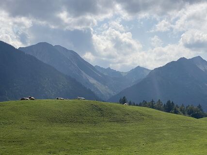 Fotografia z Voltzi na trase