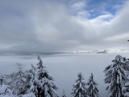 Фото с сайта Heinz Sperl во время экскурсии