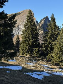 Fotografija s spletne strani Iulia Rubtsova na poti