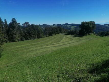 Foto von luyyy entlang der Tour