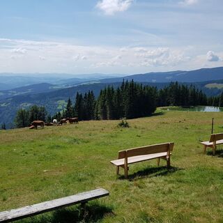 Ausblick von der Glatzl Trahütten Alm in St. Lorenzen am Wechsel in der Oststeiermark