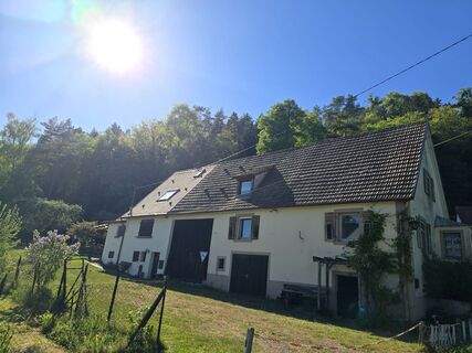 Fotografie z Michel Kennel na trase