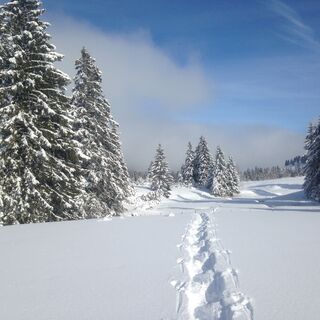 Hochebene Imberg-Hoch Häderich