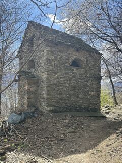 Foto von Zengaffinen Erwin entlang der Tour