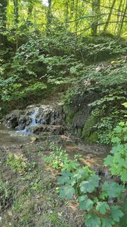 Photo de Mario Henkel le long du parcours