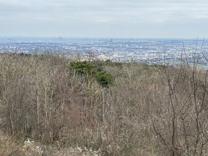 Foto von Martin1967 entlang der Tour