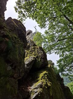 Photo de nordbergschnecke le long du parcours