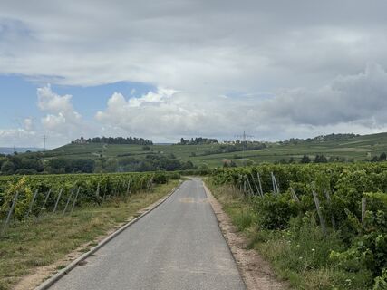 Foto de Florian a lo largo del recorrido