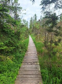 Foto von Jürgen Sieber entlang der Tour