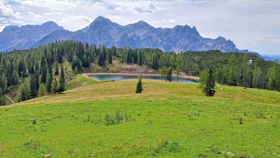 Foto från Gerhard Faugel under resans gång