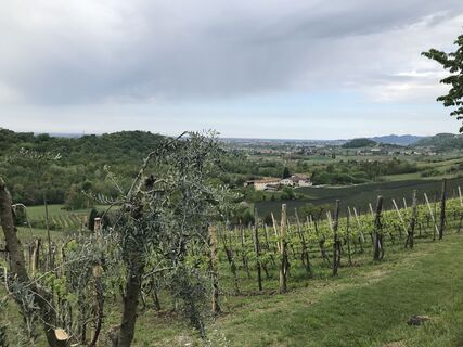 Fotografija s spletne strani Angelo Austoni na poti