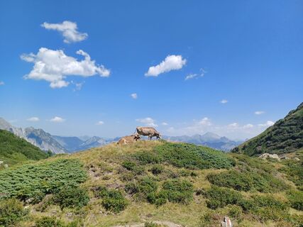 Fotografija s spletne strani Sabine Bleiker na poti