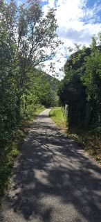 Photo de Hieu Duc Tram (Tudoi61) le long du parcours