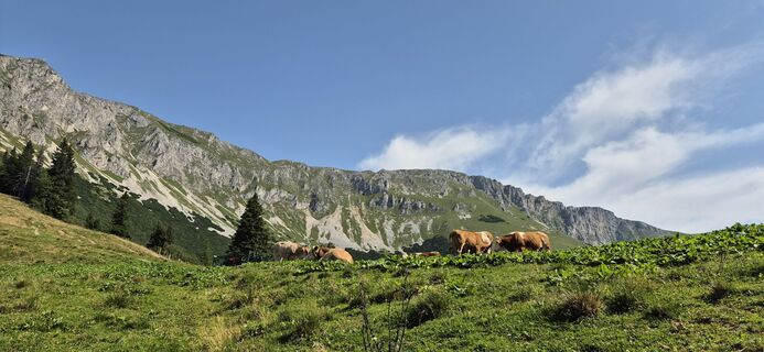 Fotografia z Bergteufel na trase