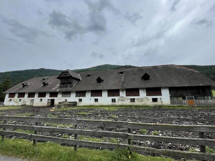 Photo de daZippe le long du parcours
