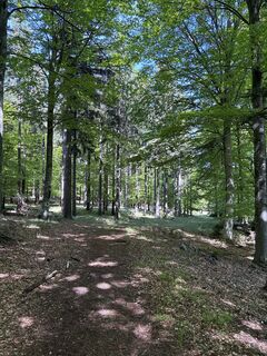 Zdjęcie z NezSari wzdłuż trasy