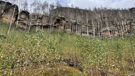 Photo de Ma Wa le long du parcours
