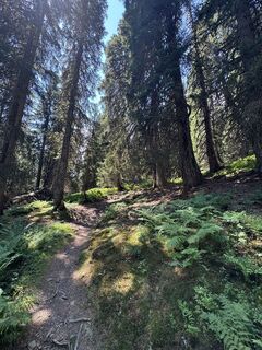 Foto von Andrea Omlin entlang der Tour